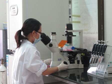 TP Hồ Chí Minh: Đầu tư nước ngoài tăng trưởng đáng kể ảnh 1